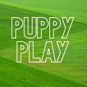 Puppy Play