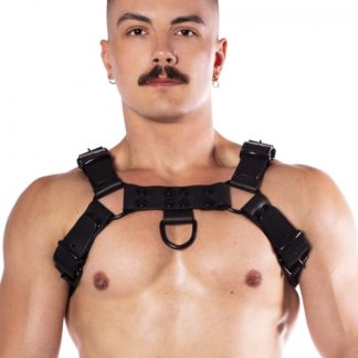 Harness