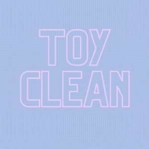 Sex Toy Cleaners