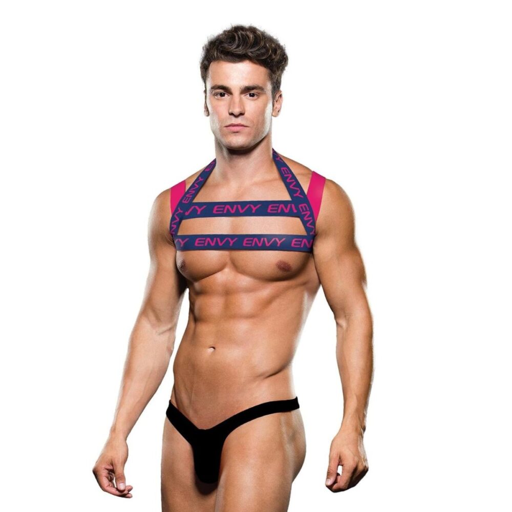 ENVY LOGO HARNESS - BLUE/PINK - S/M