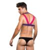 ENVY LOGO HARNESS - BLUE/PINK - S/M - Image 2