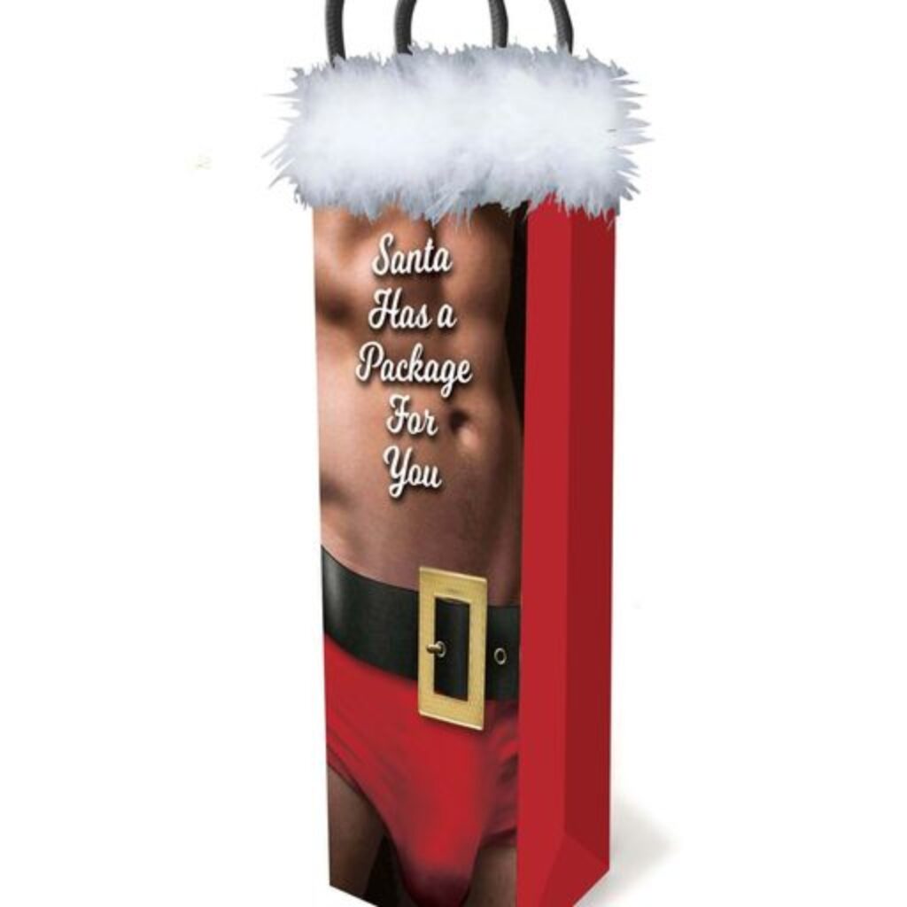 Little Genie Santa Has A Big Package For You  Gift Bag